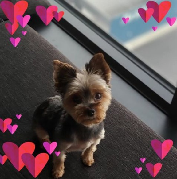 Meet your Posher, Laurent - Picture 1 of 1